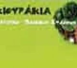 SKIOURAKIA_ALEIFERI_CHRYSAFI_47a4e313427f4e3a828110a2118857bb