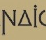 2025_01_15_13_53_31_Window